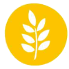 Gluten
