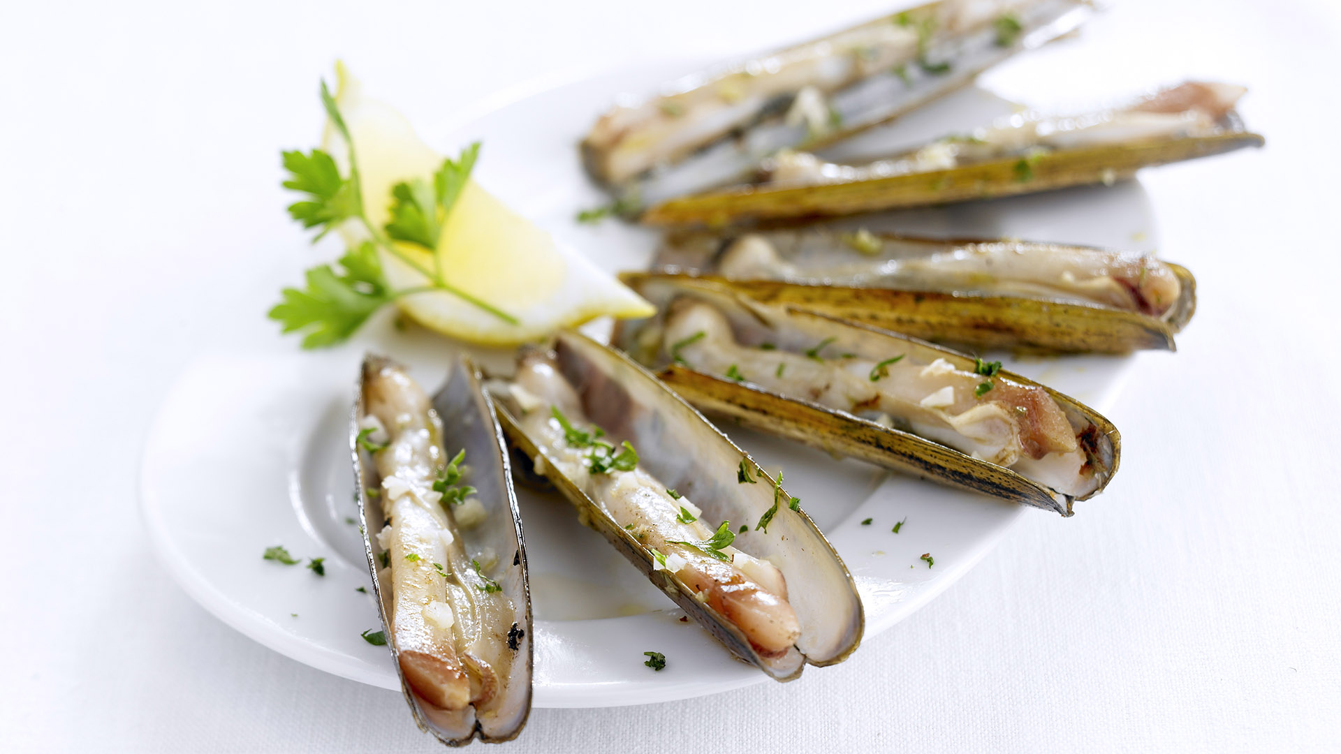 Navajas plancha