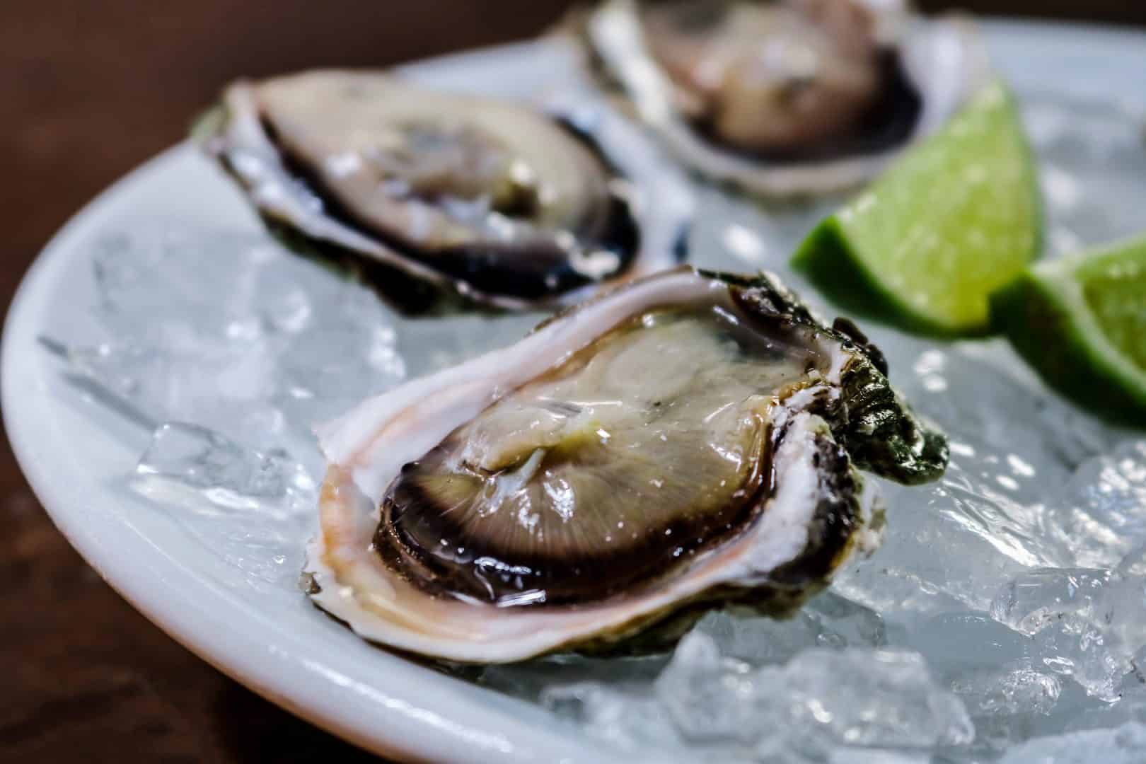 Ostras de mar